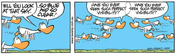 ducks-good-visibility-10543.jpg
