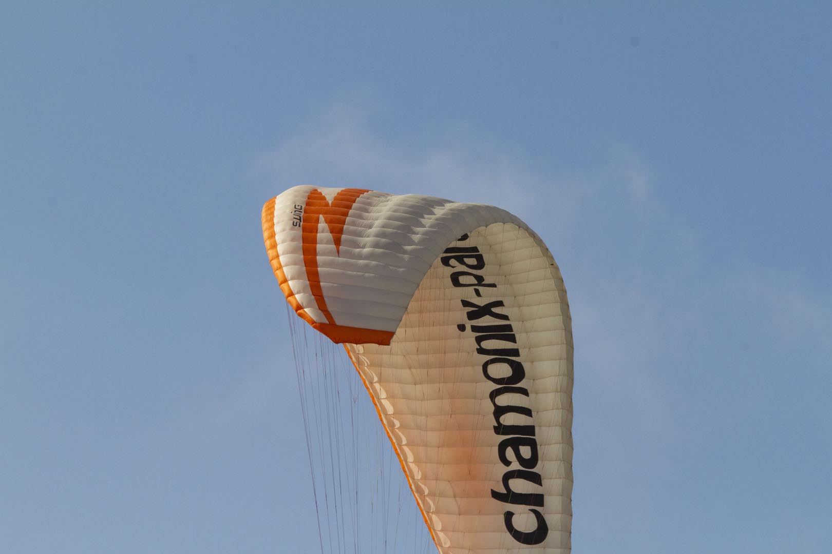 _MG_6576_1.jpg