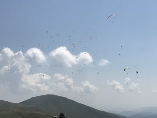 D4579E89-7E9F-47BD-BB6A-7182B5E05CB3.jpeg