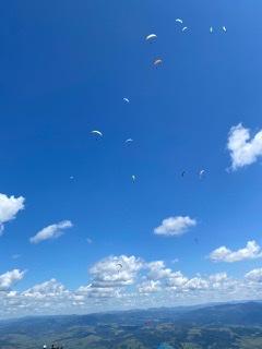 B176A2FC-4342-4730-9876-93D698204967.jpeg