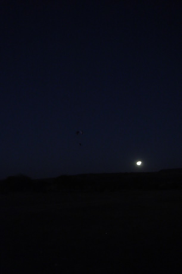 DSC00984.JPG